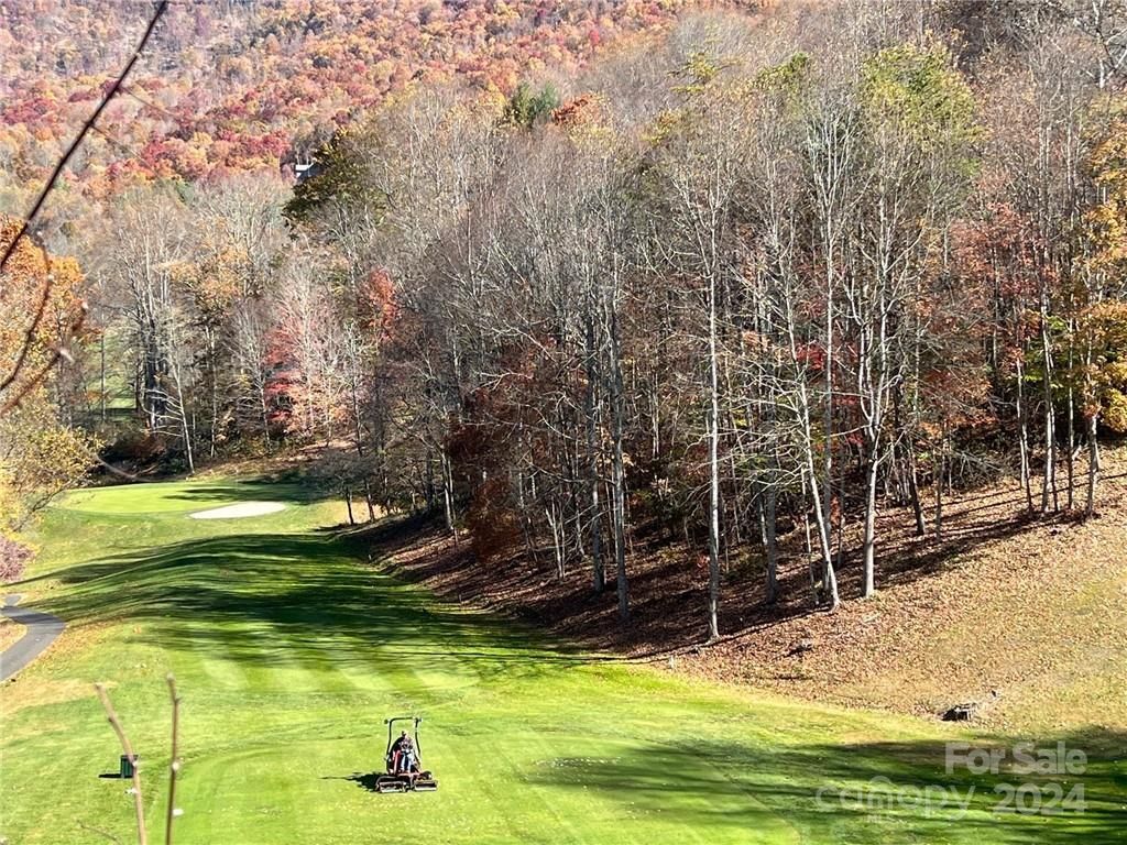 MLS #CAR3865921 image #3