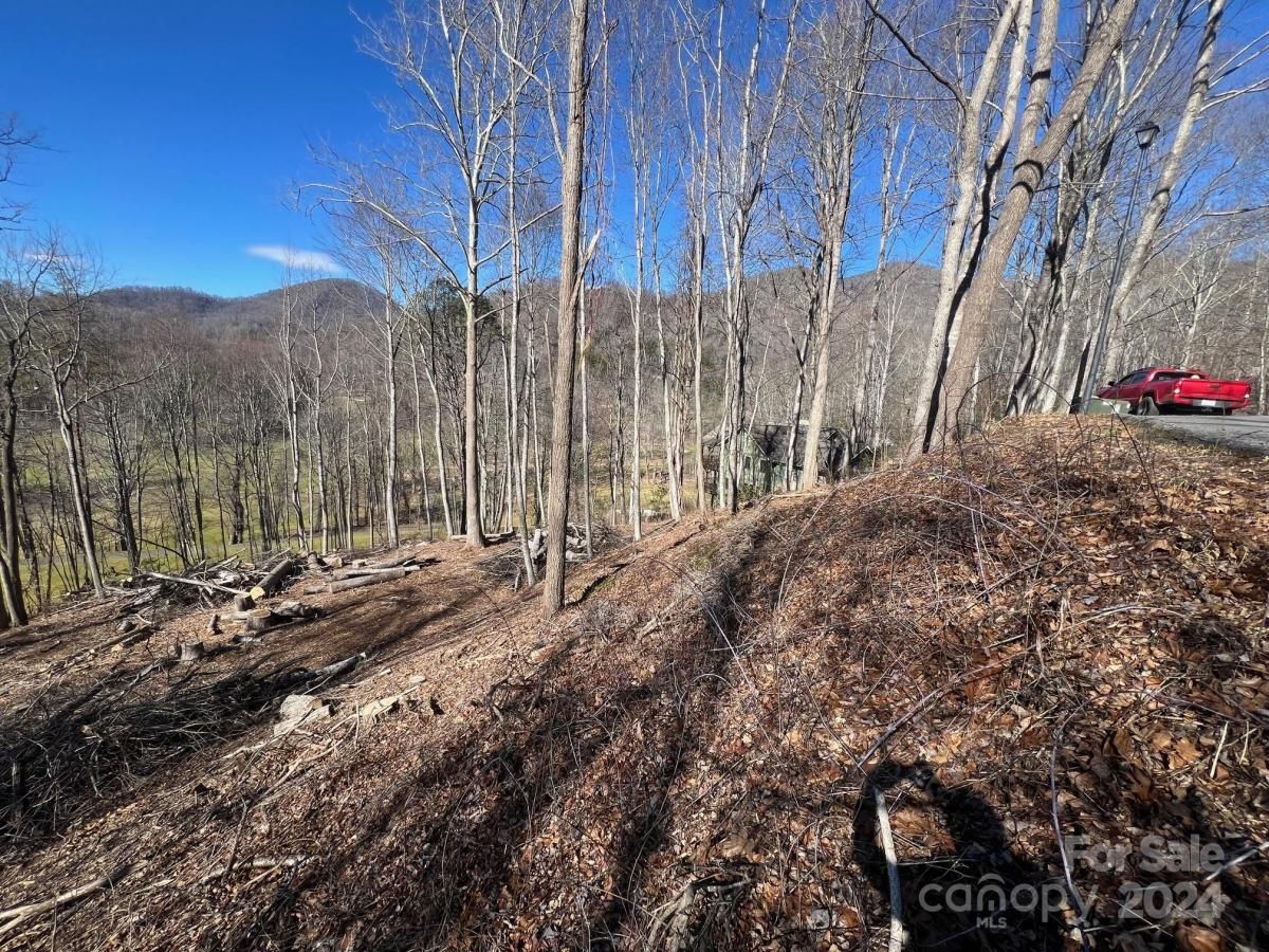 MLS #CAR3865921 image #1