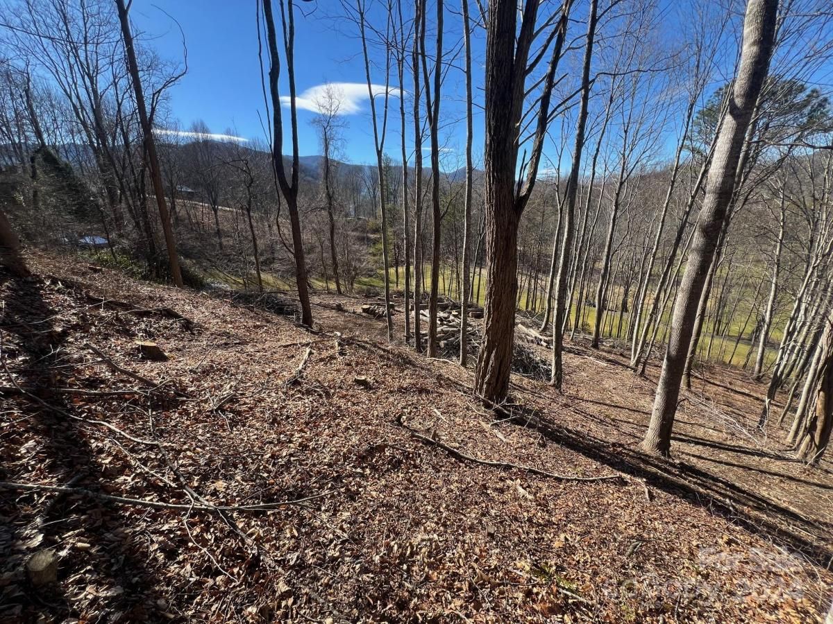 MLS #CAR3865921 image #2