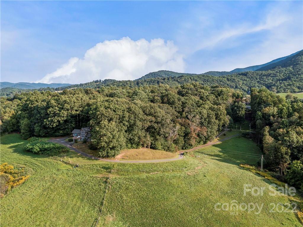 MLS #CAR3878074 image #41