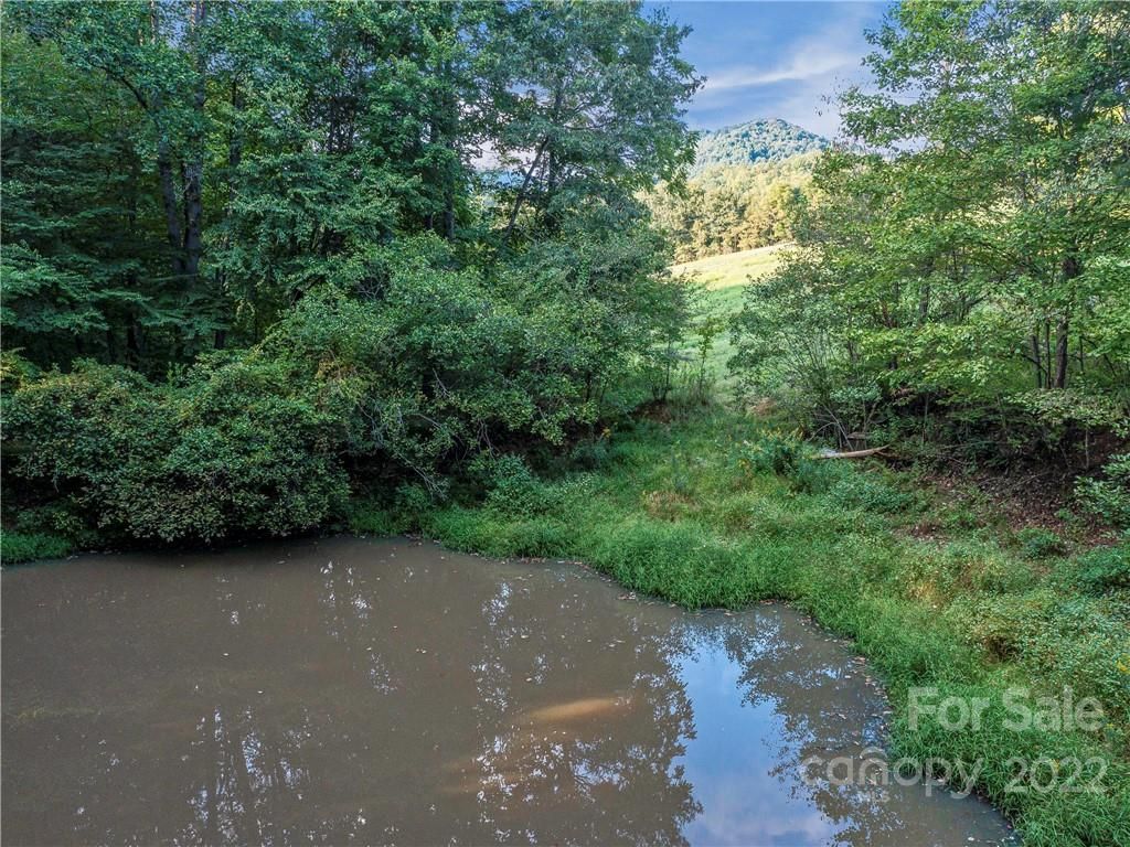 MLS #CAR3878074 image #47