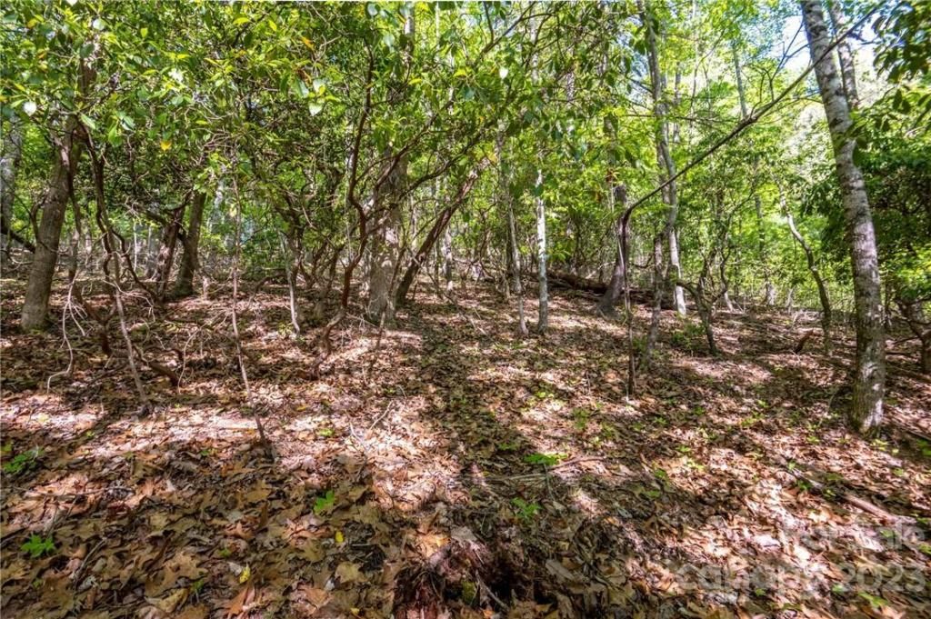 MLS #CAR3878619 image #11