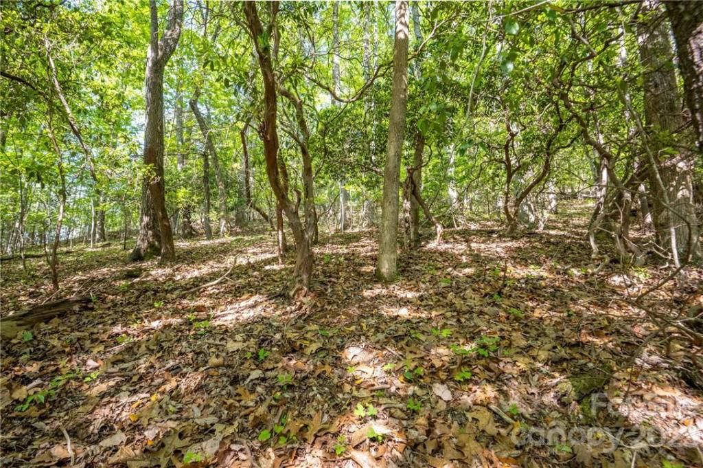 MLS #CAR3878619 image #12