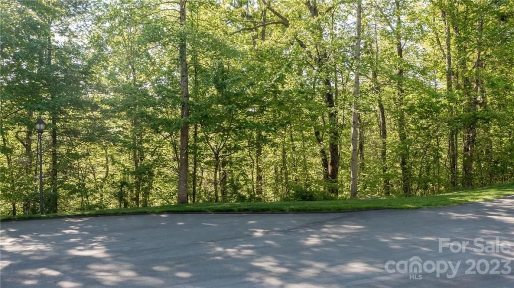 MLS #CAR3878619 image #13