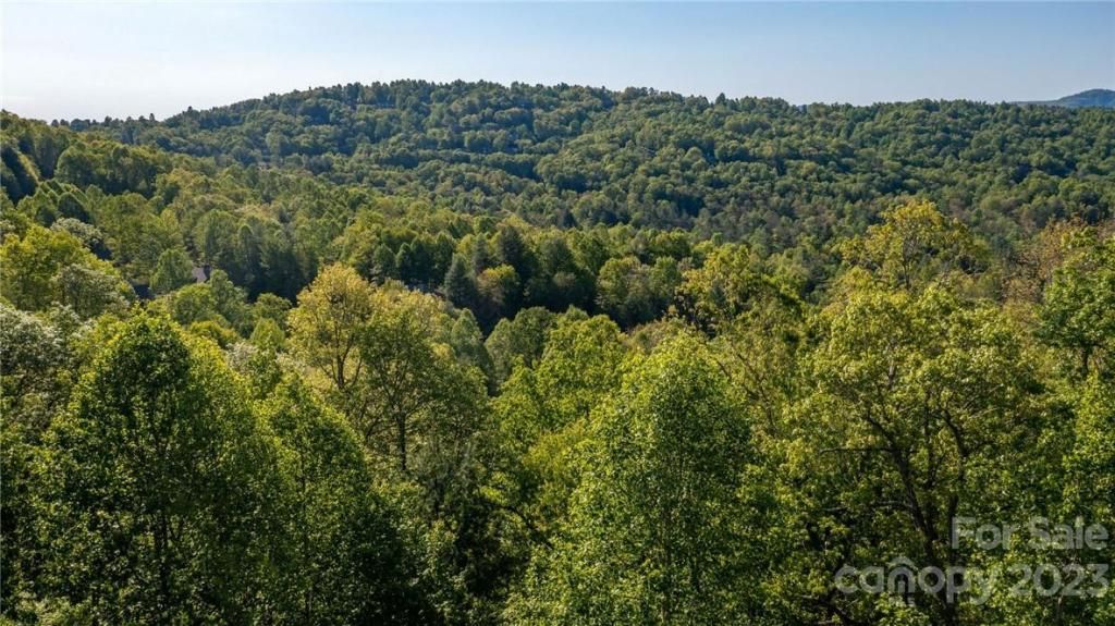 MLS #CAR3878619 image #14