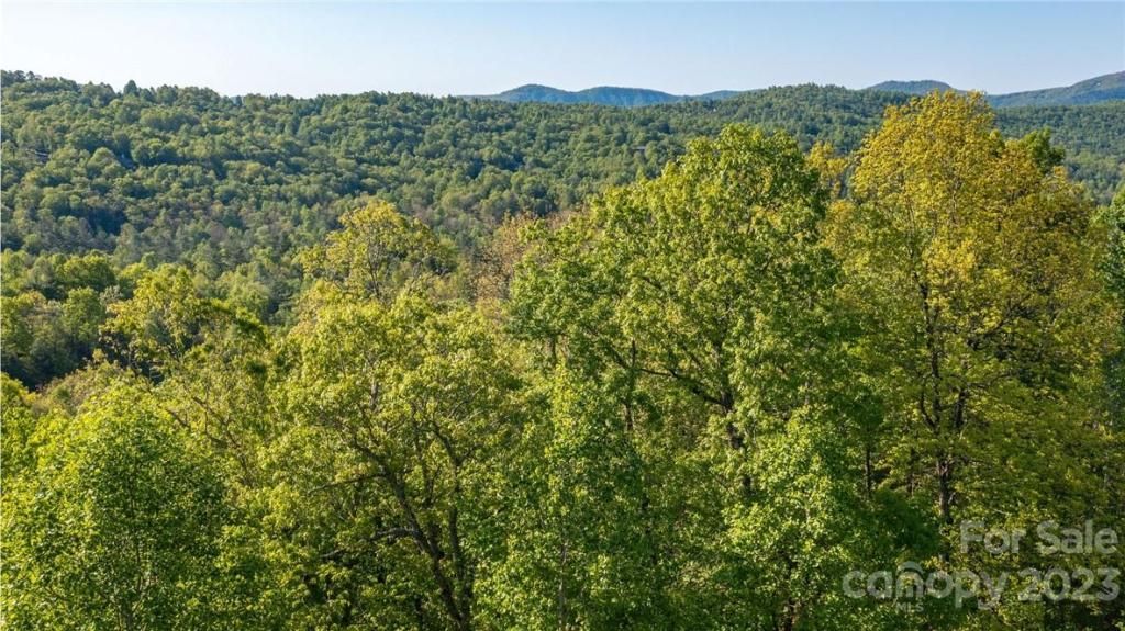 MLS #CAR3878619 image #15