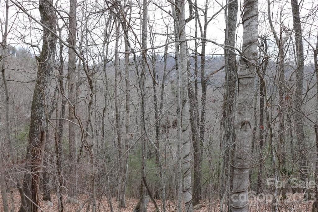 MLS #CAR3878619 image #5