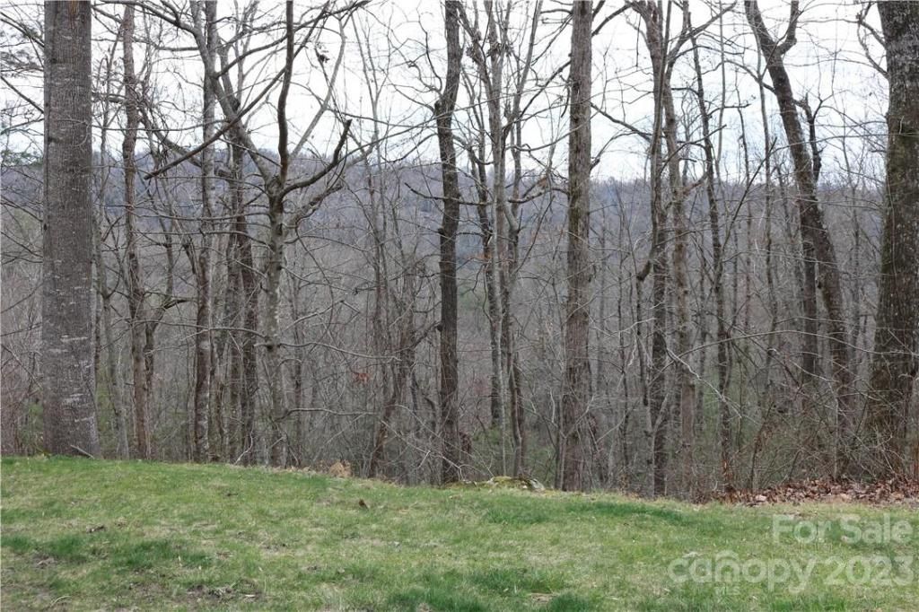 MLS #CAR3878619 image #6