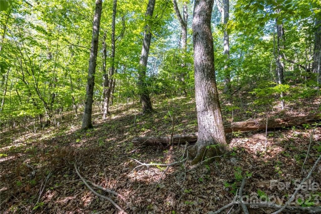 MLS #CAR3878619 image #8