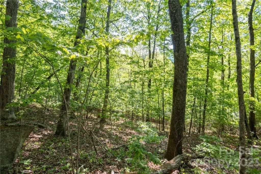 MLS #CAR3878619 image #9