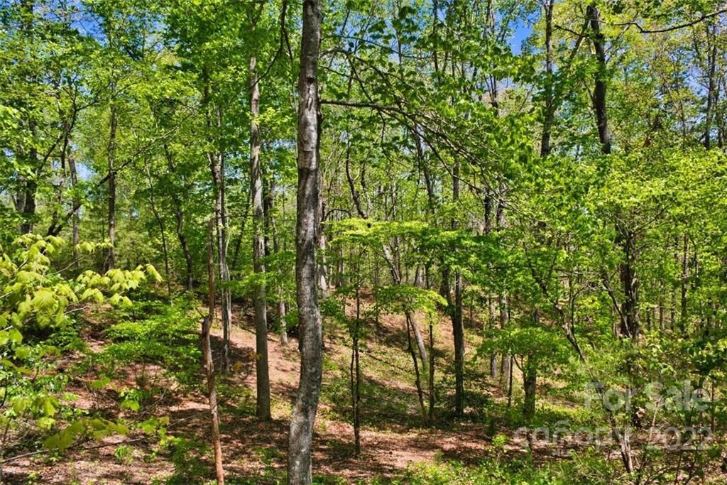 MLS #CAR3897252 image #2