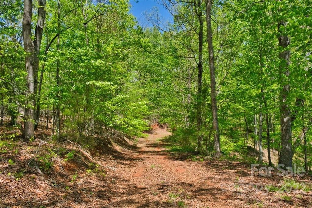 MLS #CAR3897252 image #4