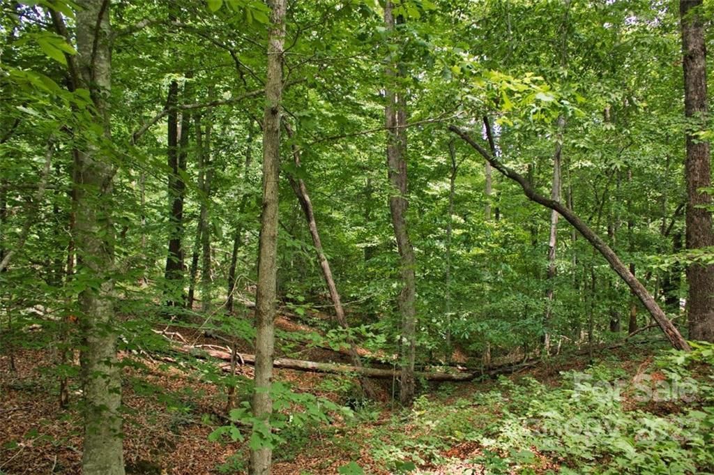 MLS #CAR3897536 image #1