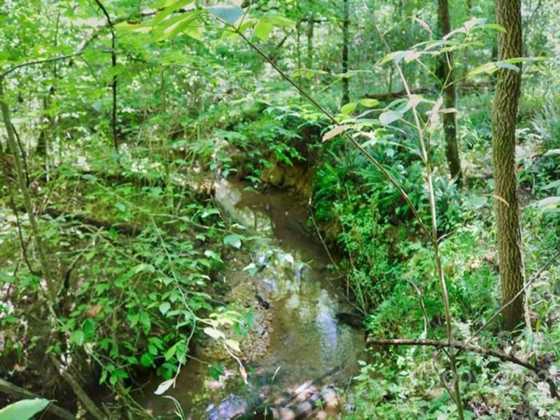 MLS #CAR3897934 image #0