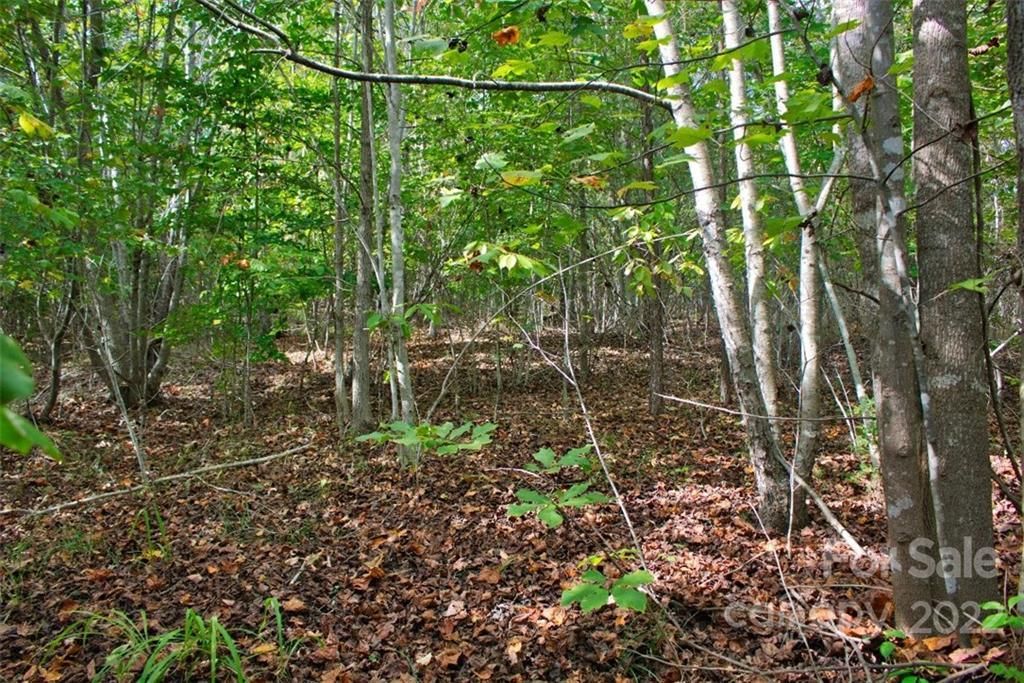 MLS #CAR3897982 image #1