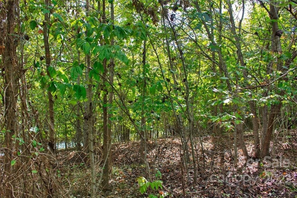 MLS #CAR3897982 image #2