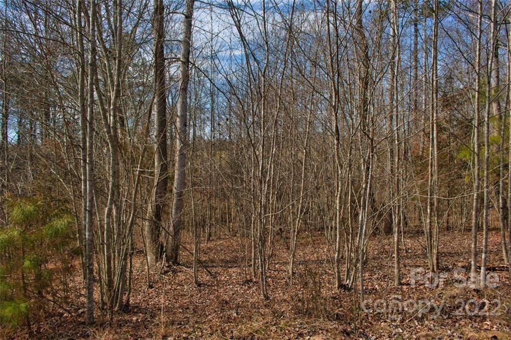 MLS #CAR3898003 image #0