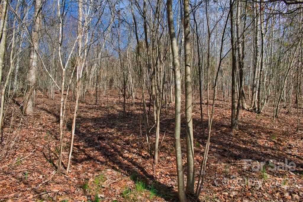 MLS #CAR3898003 image #1