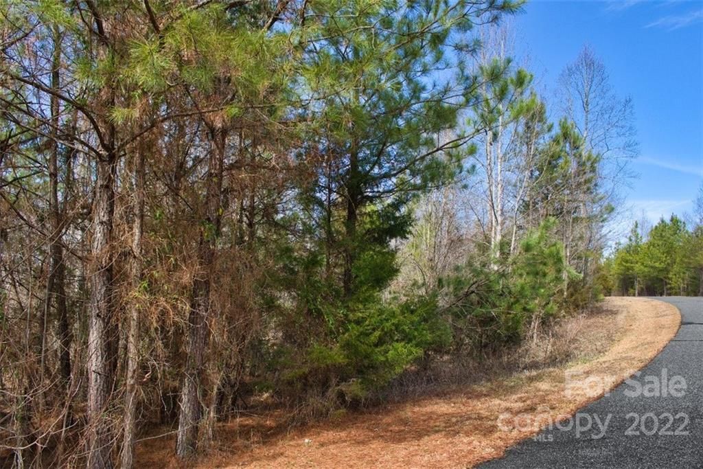 MLS #CAR3898003 image #2