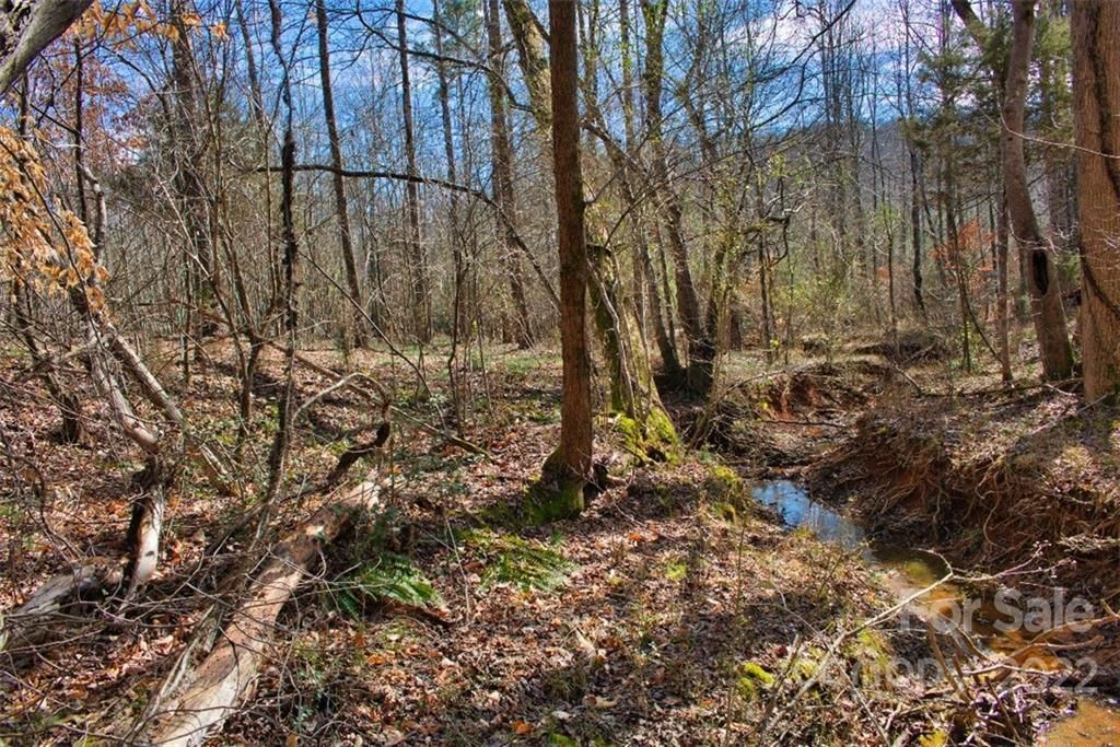 MLS #CAR3898003 image #3