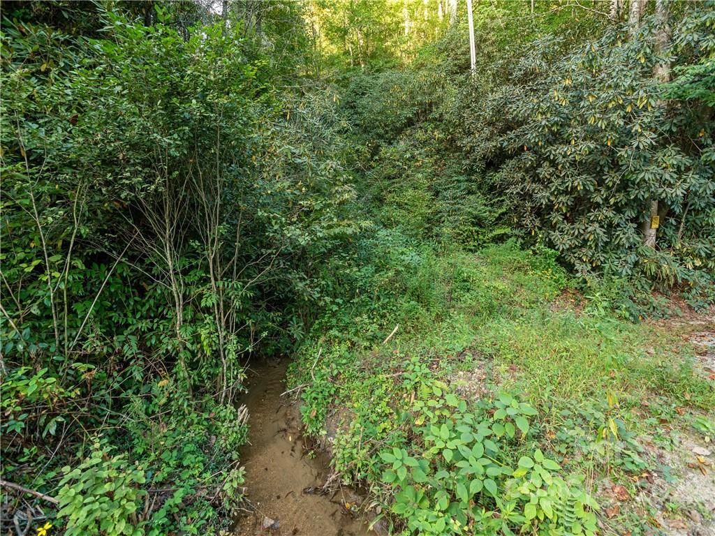 MLS #CAR3908435 image #7