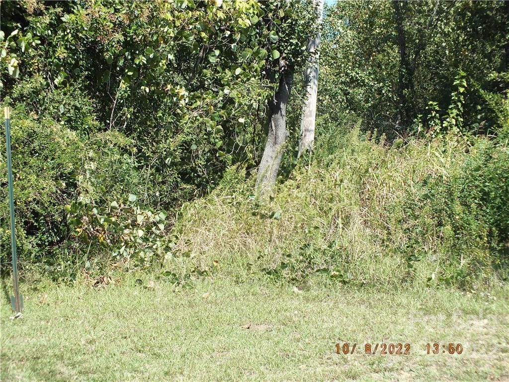 MLS #CAR3912137 image #3