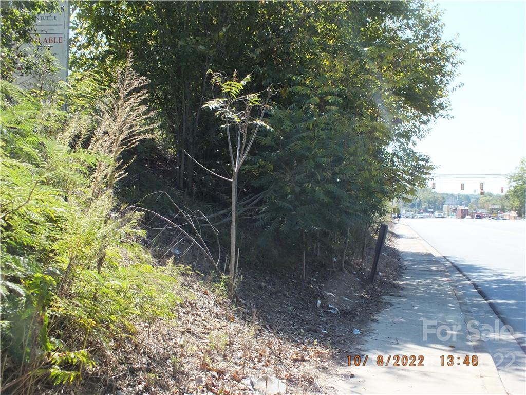 MLS #CAR3912418 image #6