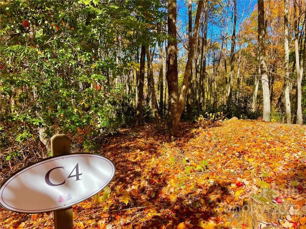 MLS #CAR3915187 image #1