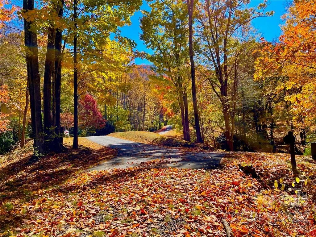 MLS #CAR3915187 image #4