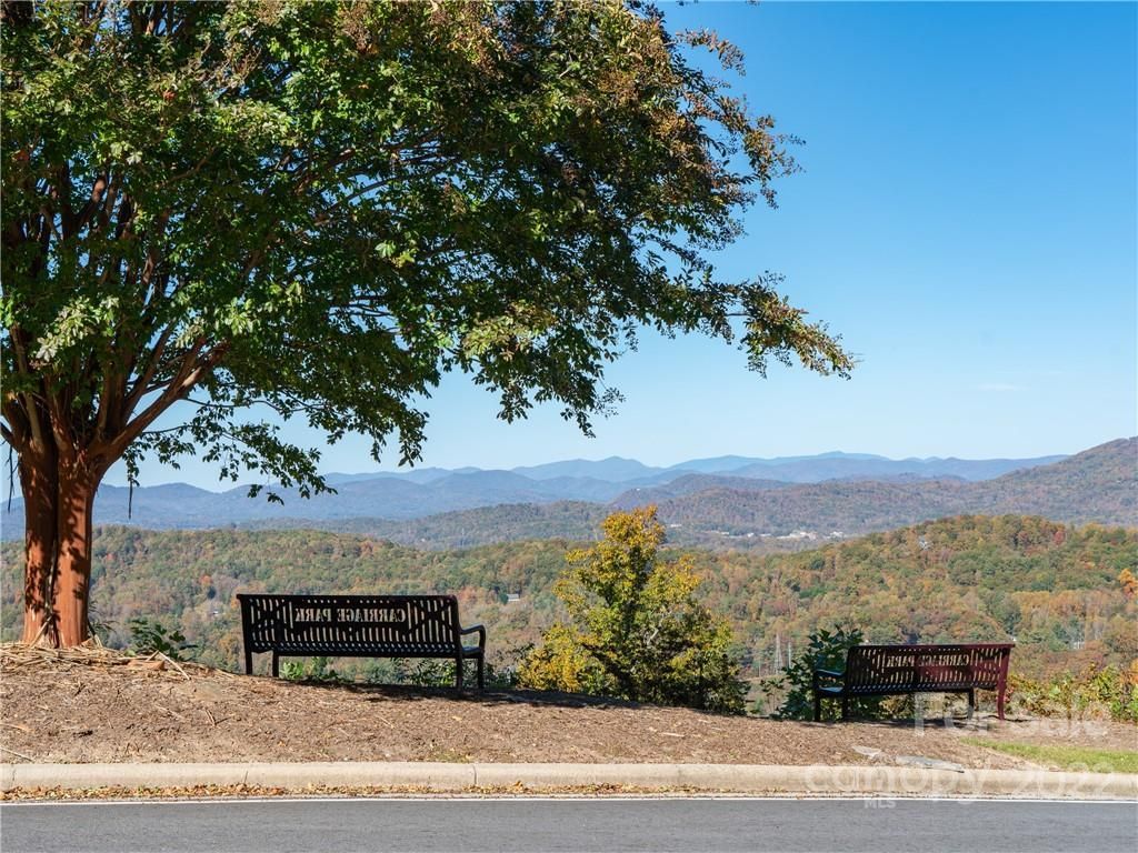 MLS #CAR3917739 image #19