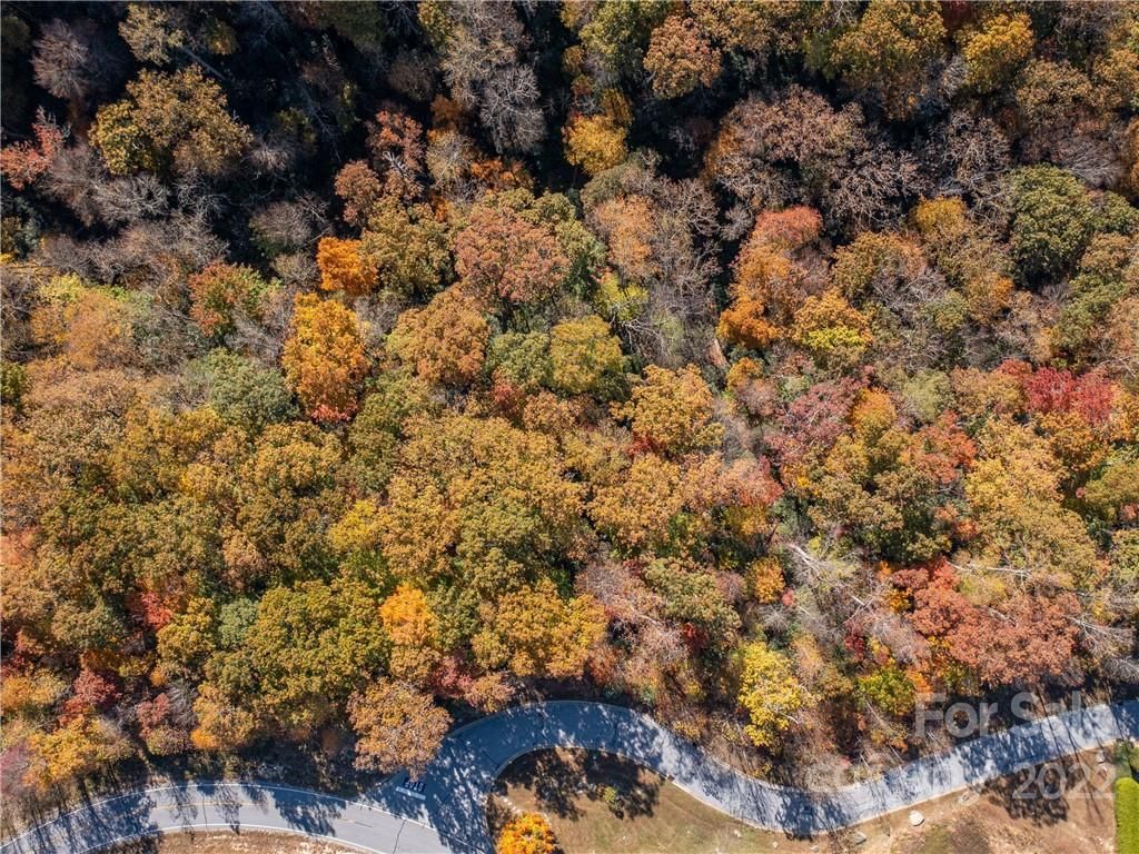 MLS #CAR3917739 image #3