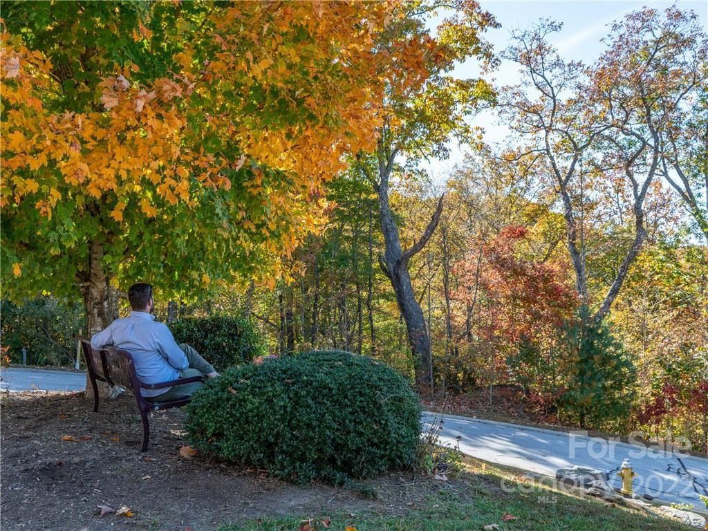 MLS #CAR3917739 image #5