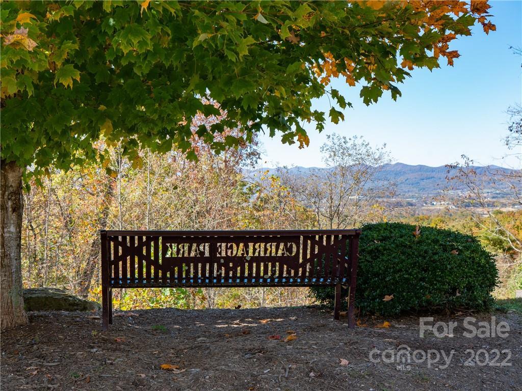 MLS #CAR3917739 image #6