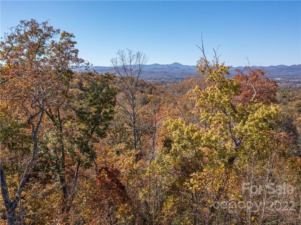 MLS #CAR3917739 image #8