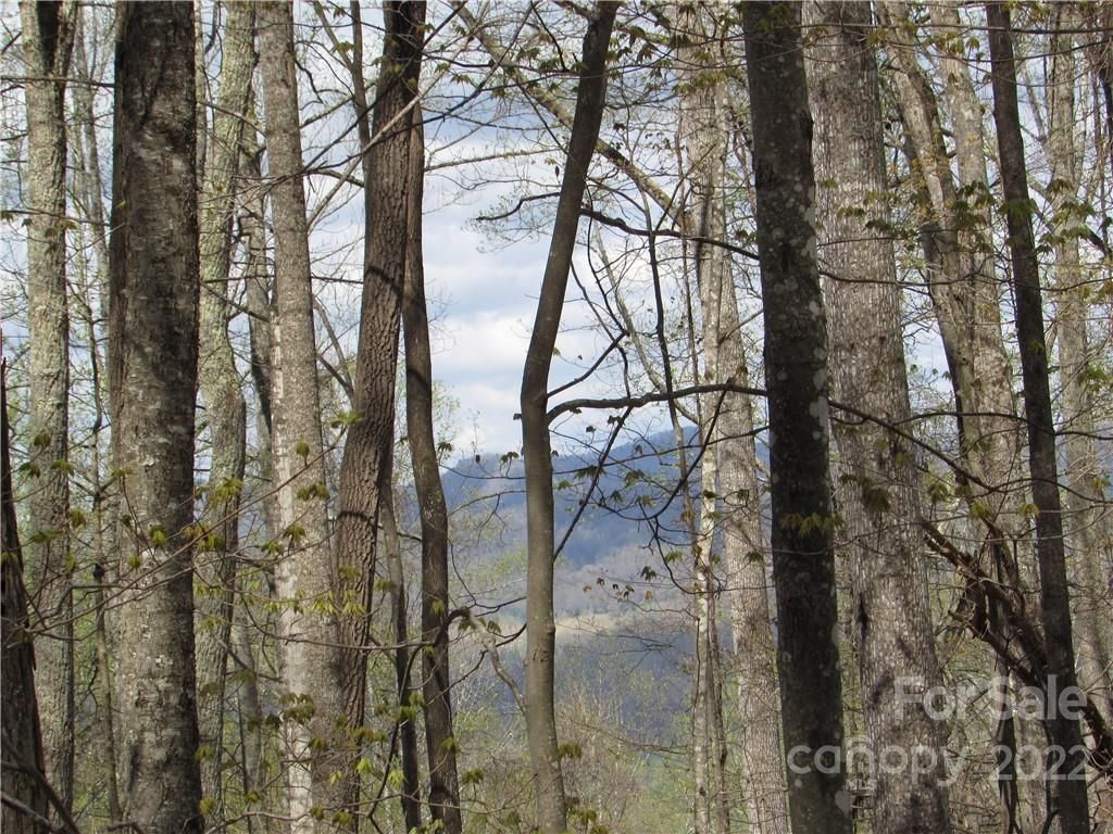 MLS #CAR3918466 image #10