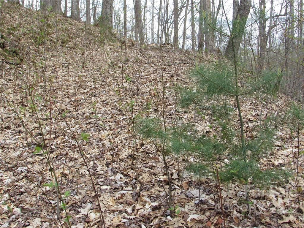 MLS #CAR3918466 image #22