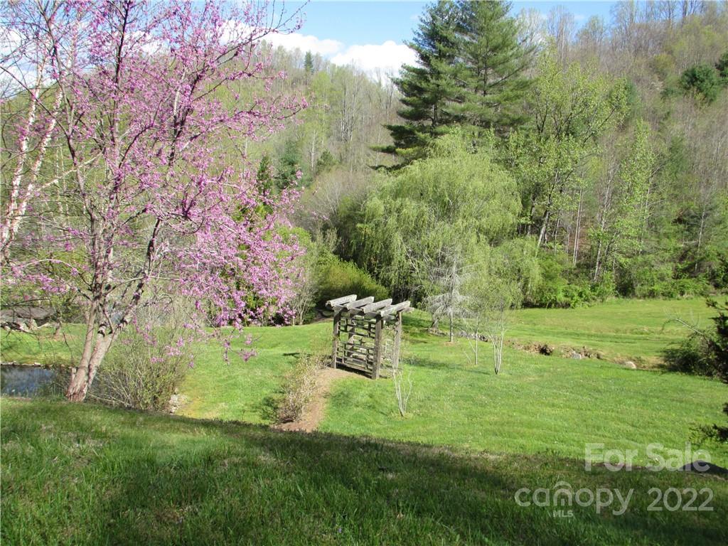 MLS #CAR3918466 image #5