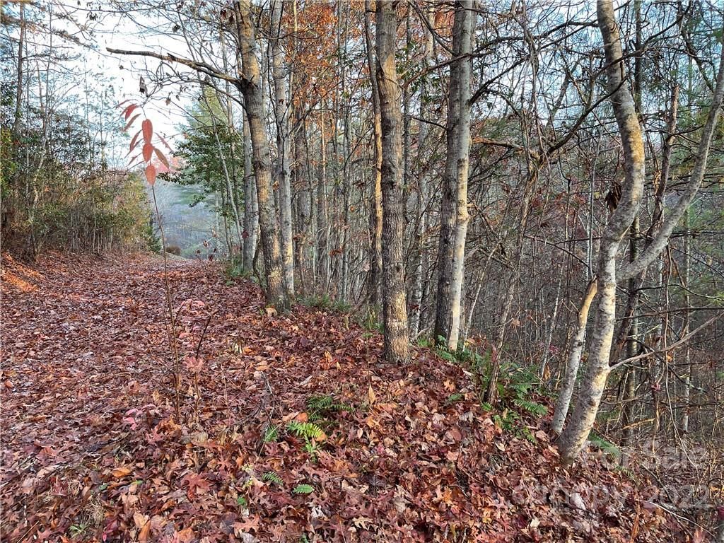 MLS #CAR3920510 image #1