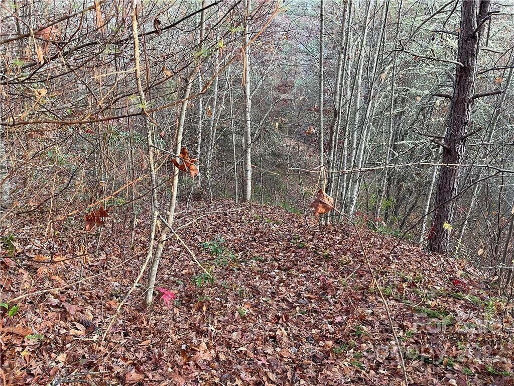 MLS #CAR3920510 image #2