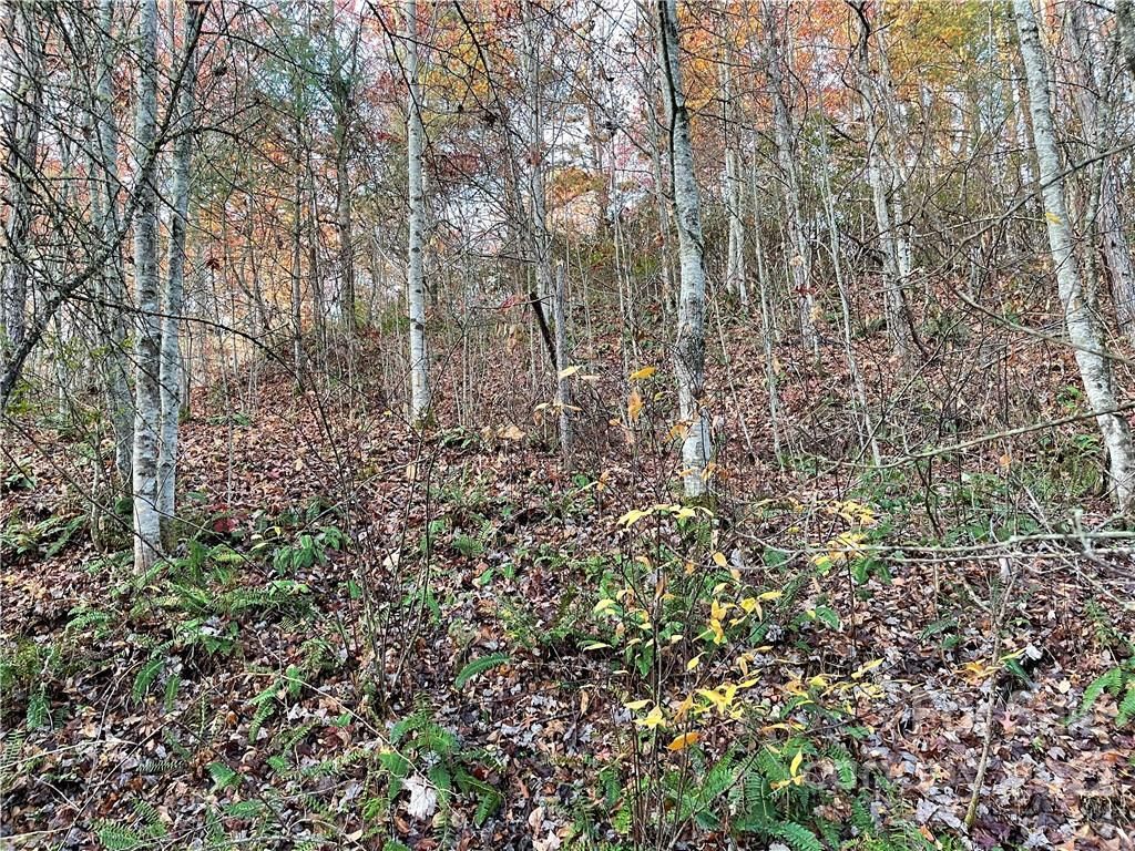 MLS #CAR3920510 image #3