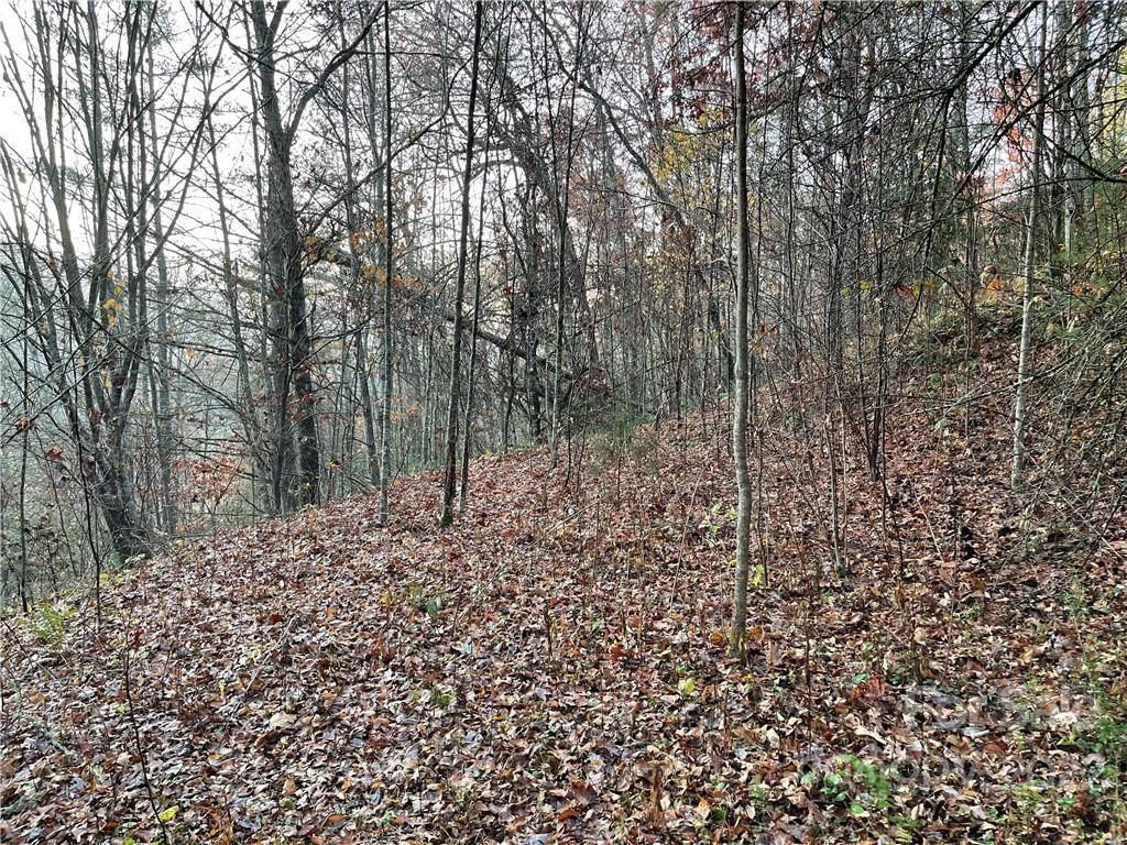 MLS #CAR3920510 image #5