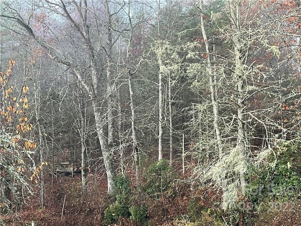 MLS #CAR3920510 image #7