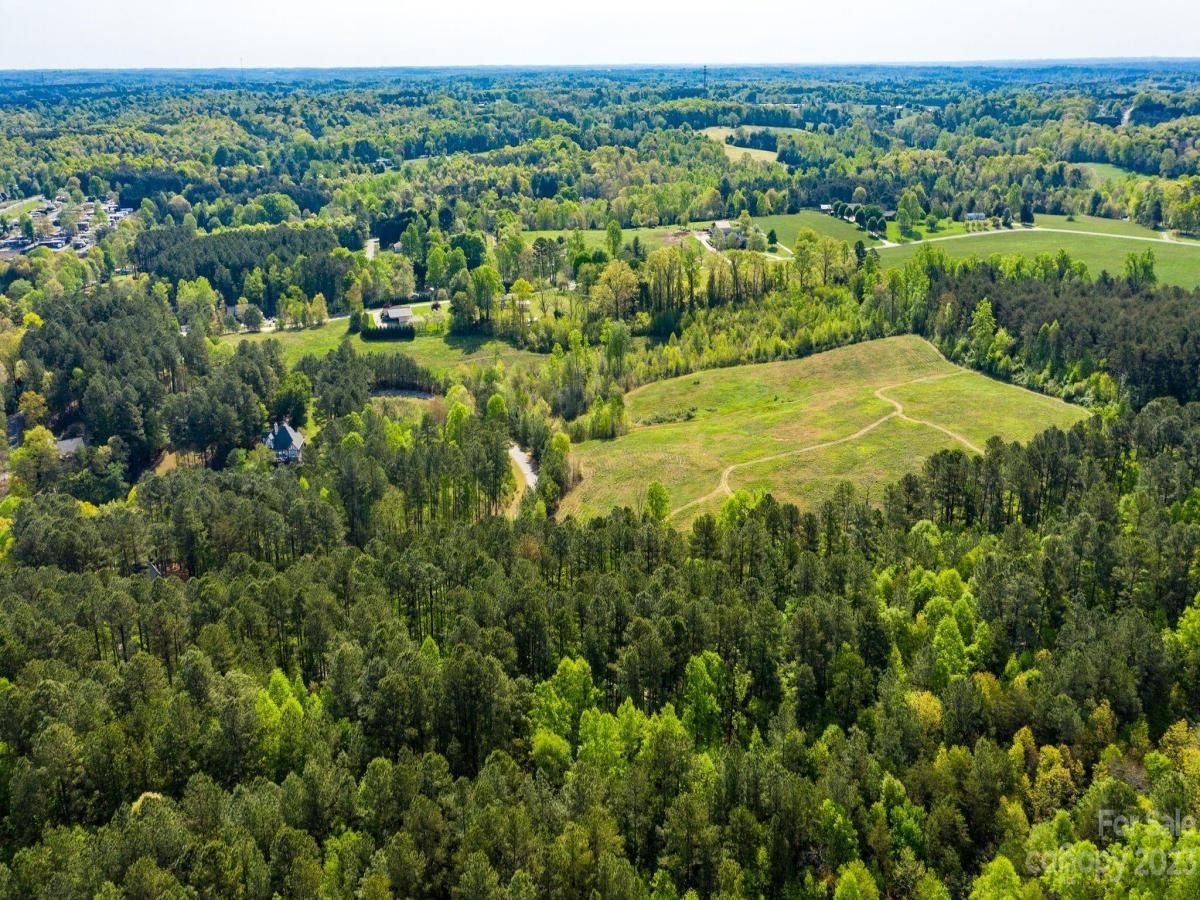 MLS #CAR3924030 image #9