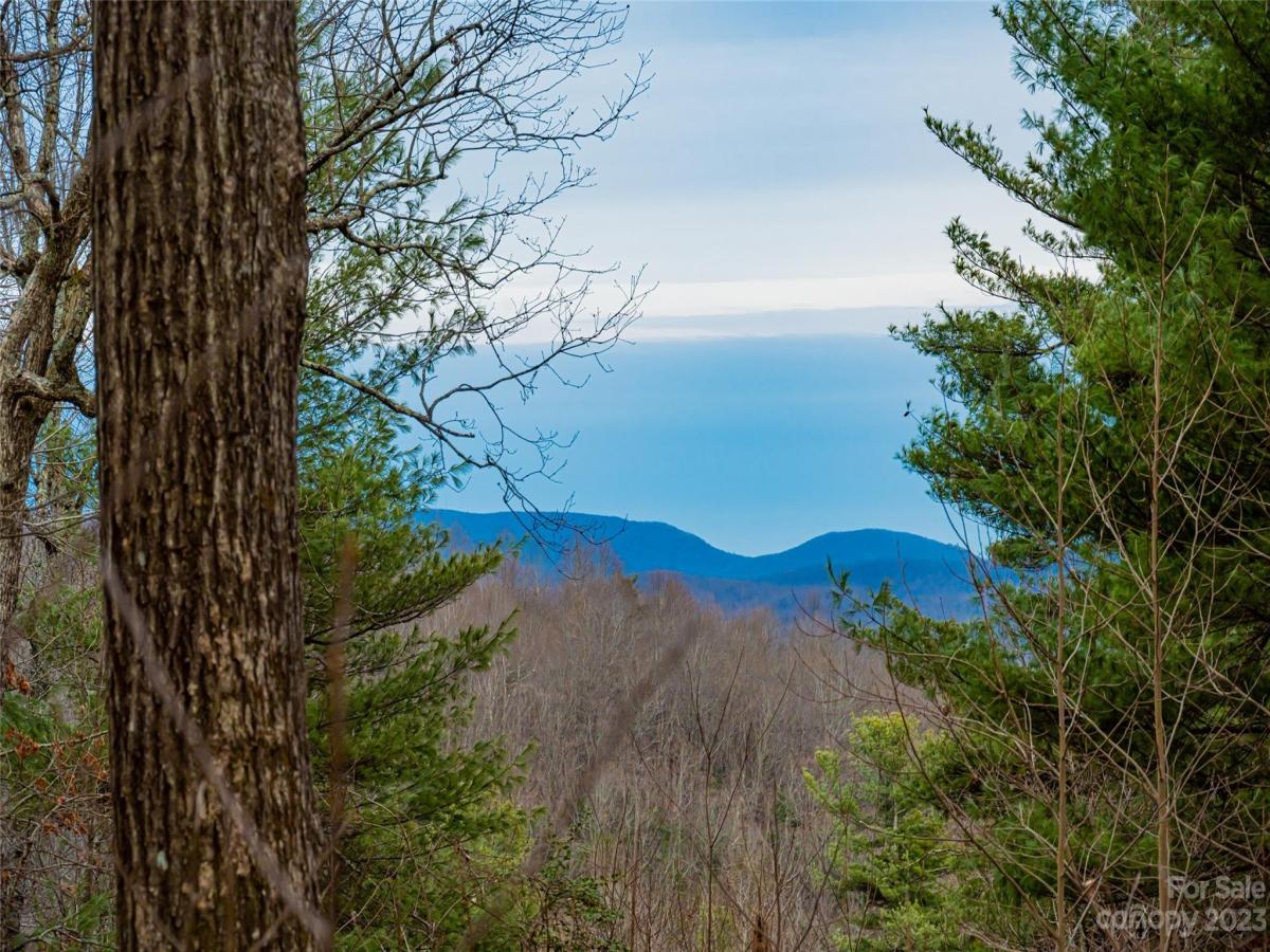 MLS #CAR3924550 image #0