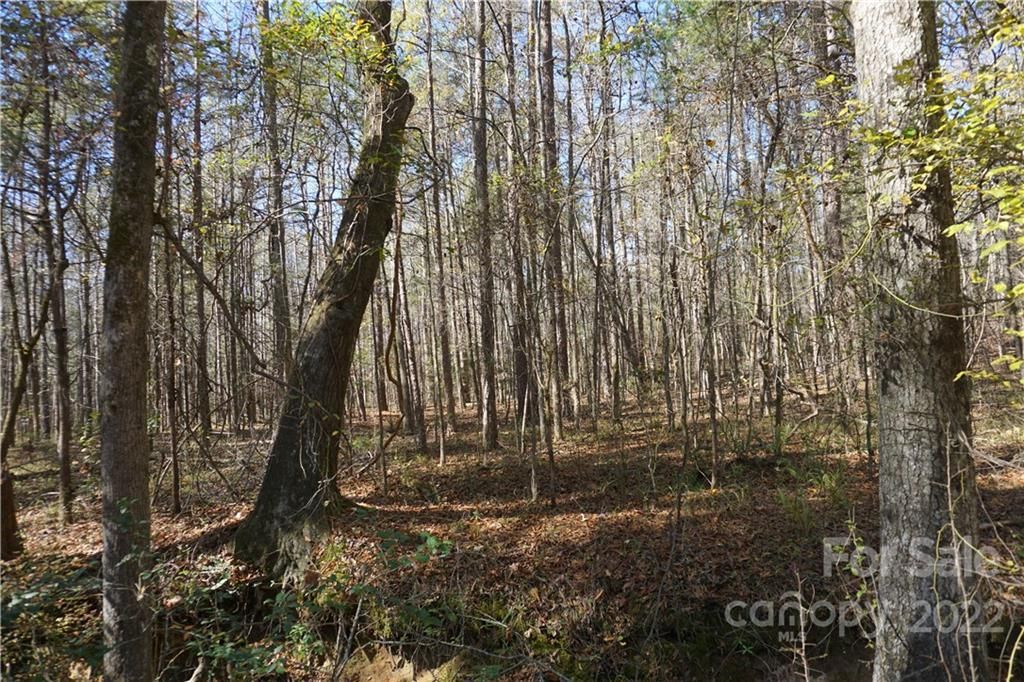 MLS #CAR3927176 image #0