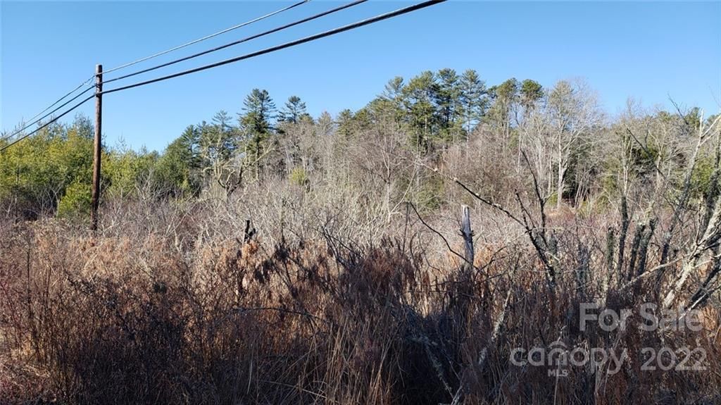 MLS #CAR3929449 image #13