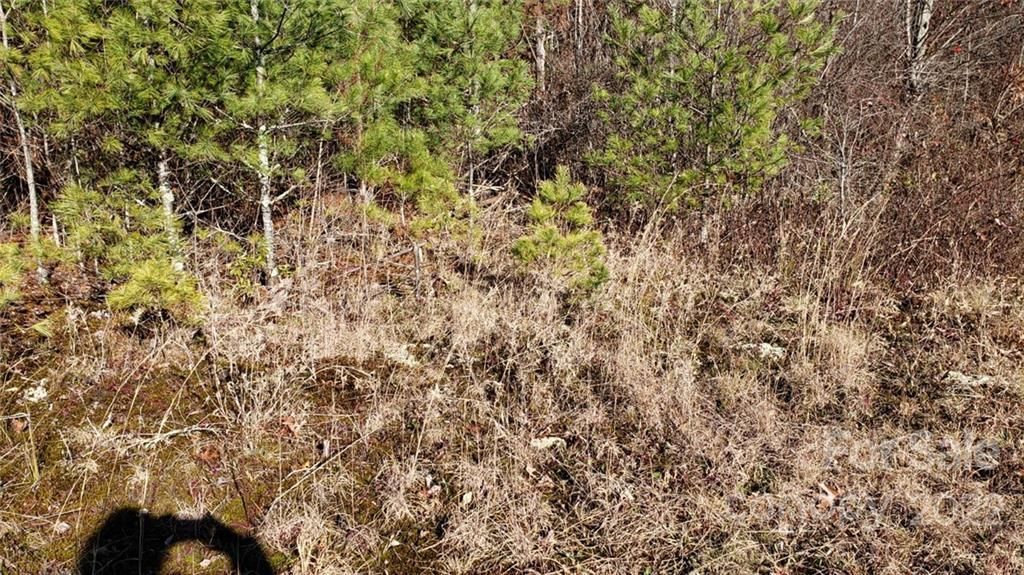 MLS #CAR3929449 image #14