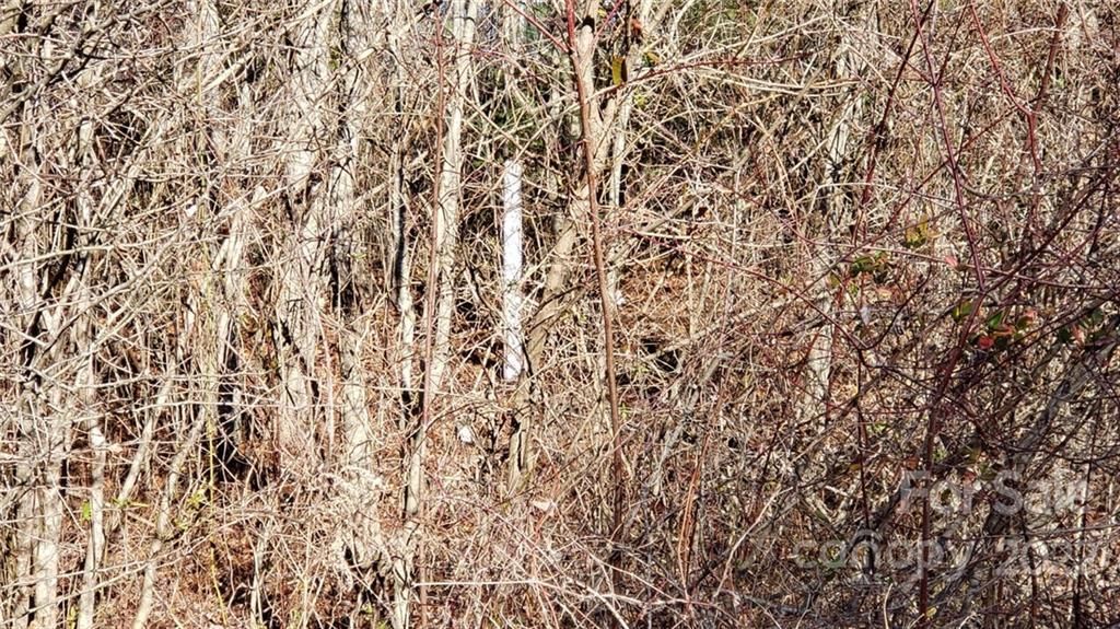 MLS #CAR3929449 image #15