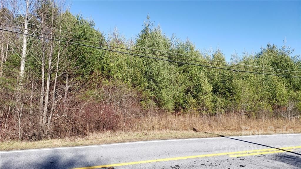 MLS #CAR3929449 image #7