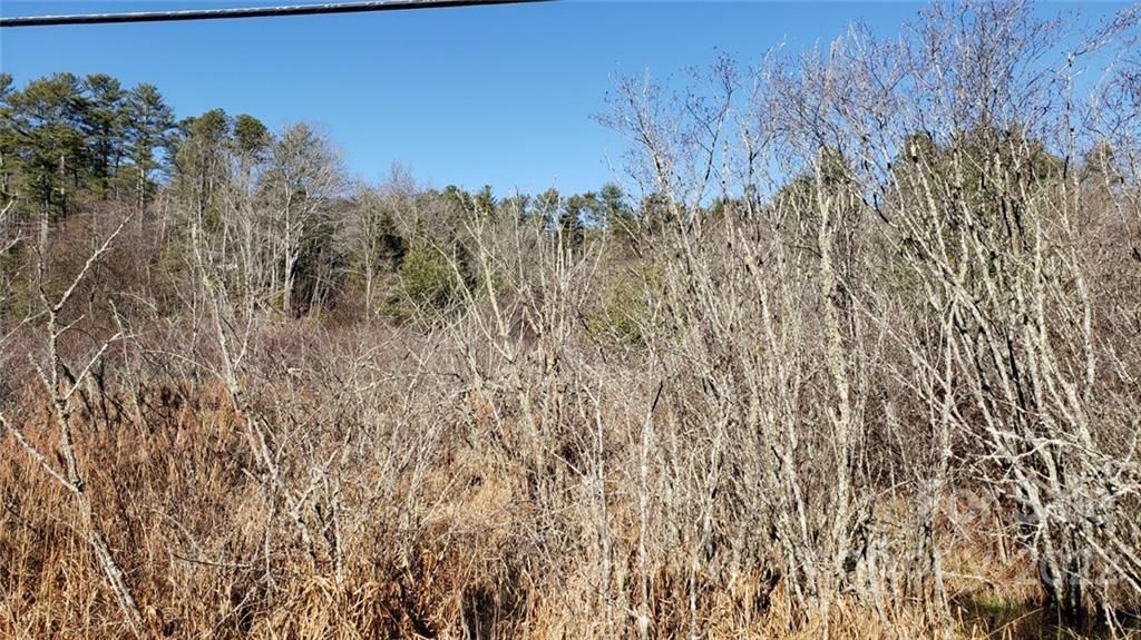 MLS #CAR3929449 image #8